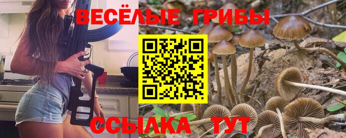 Казань  Галлюциногенные грибы мицелий  Псилоцибиновые грибы ЛСД  купить закладку  Вход с VPN 