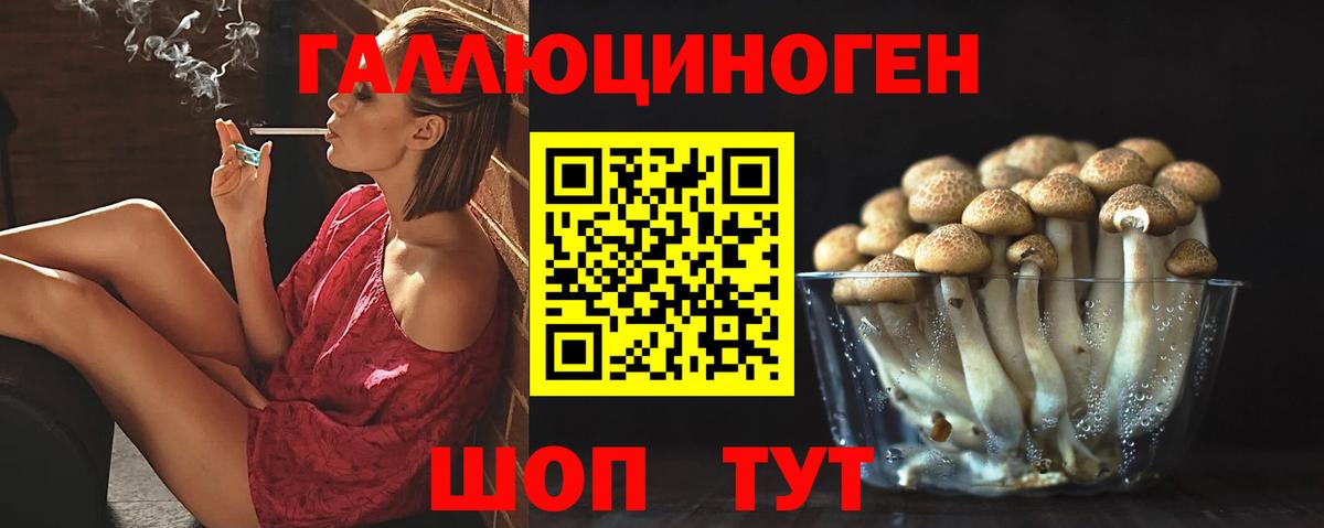 Галлюциногенные грибы Cubensis Казань